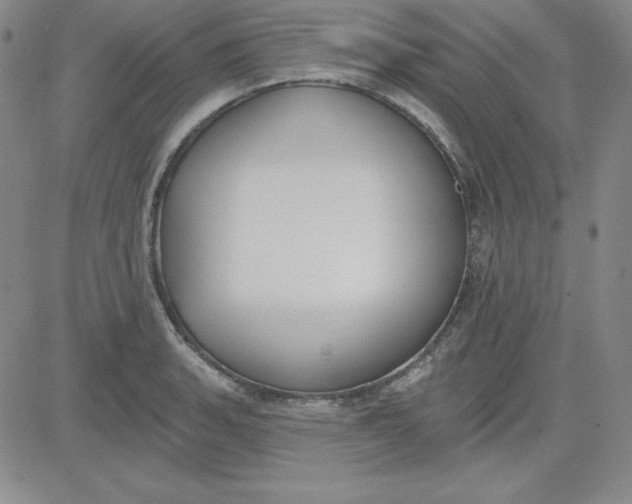 X0000080771135200701021115