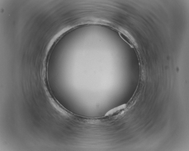 X0000080771136200701021115