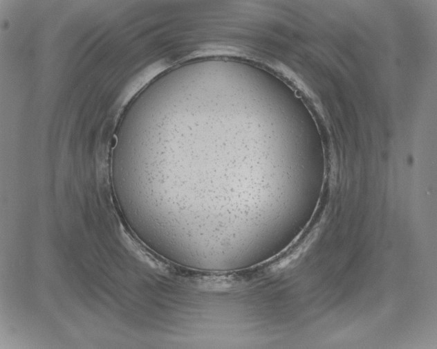 X0000080771137200701021115