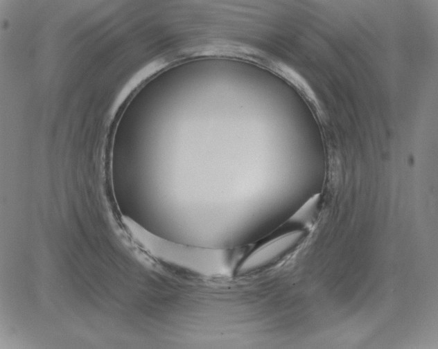 X0000080771138200701021115