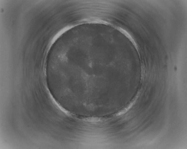 X0000080771141200701021115