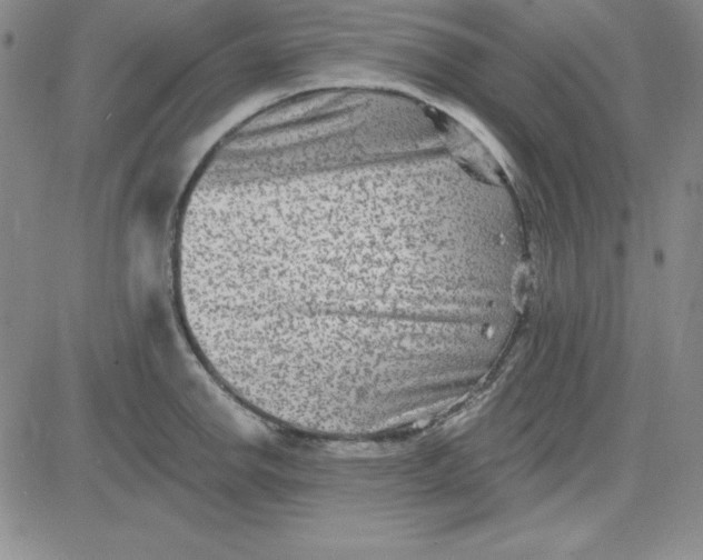 X0000080771142200701021115