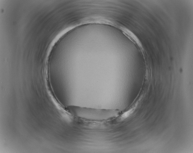 X0000080771144200701021115