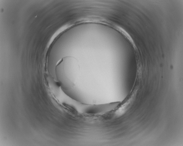 X0000080771146200701021115