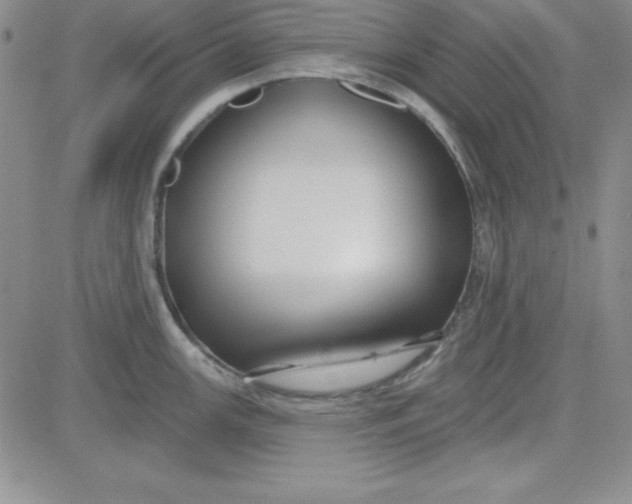 X0000080771147200701021115