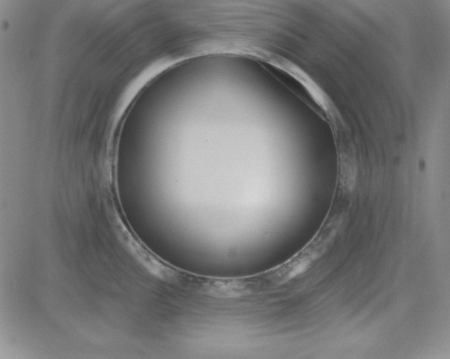 X0000080771148200701021115