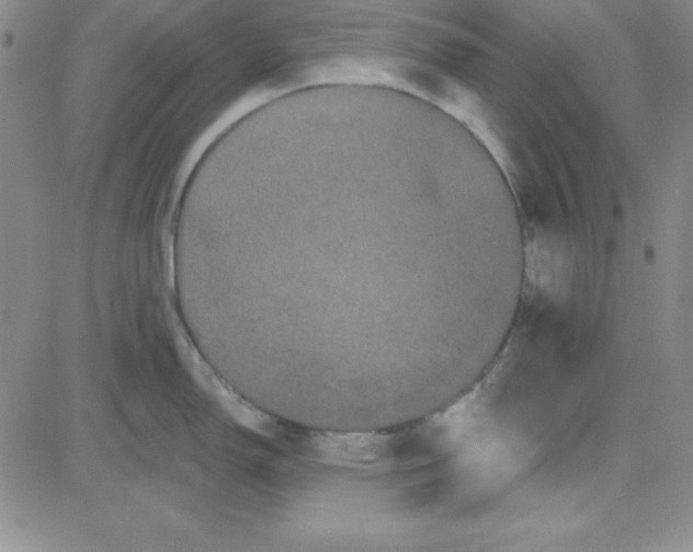 X0000080771150200701021115