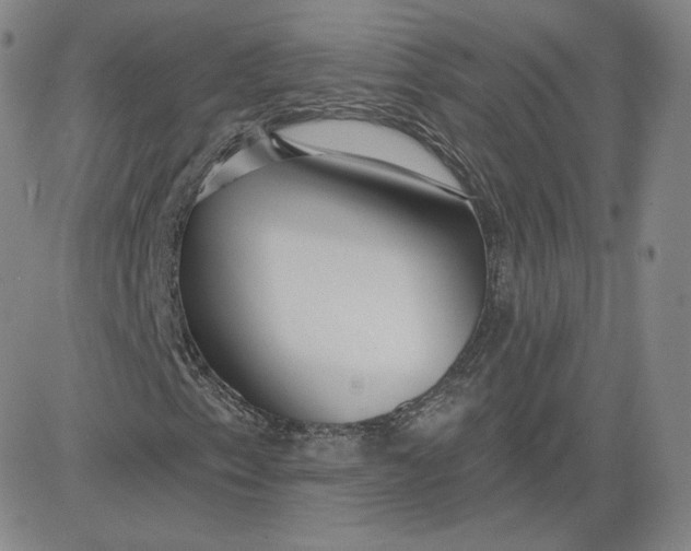 X0000080771153200701021114