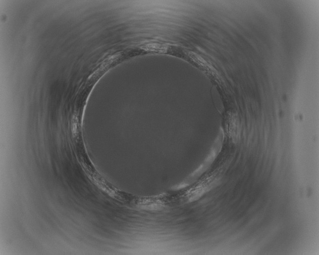 X0000080771154200701021114