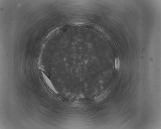 X0000080771155200701021114