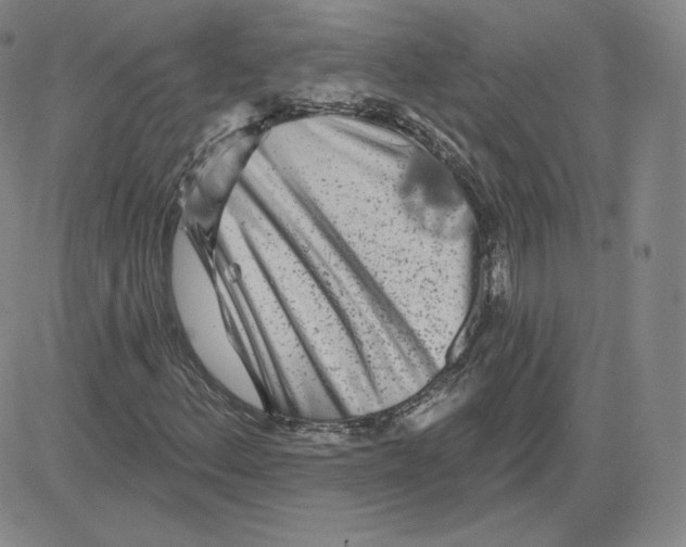 X0000080771156200701021114