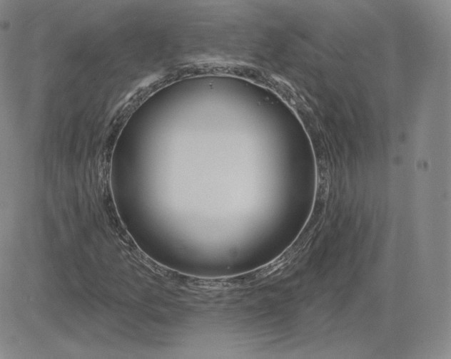 X0000080771157200701021114