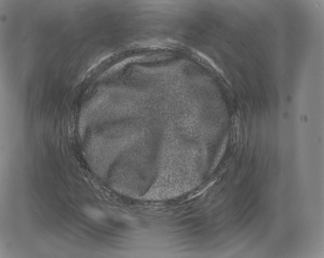 X0000080771158200701021114