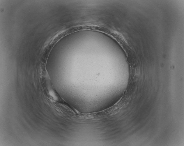 X0000080771159200701021114