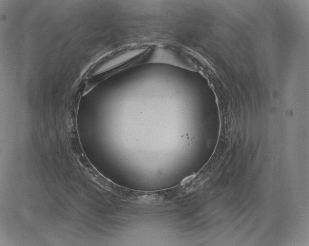 X0000080771160200701021114