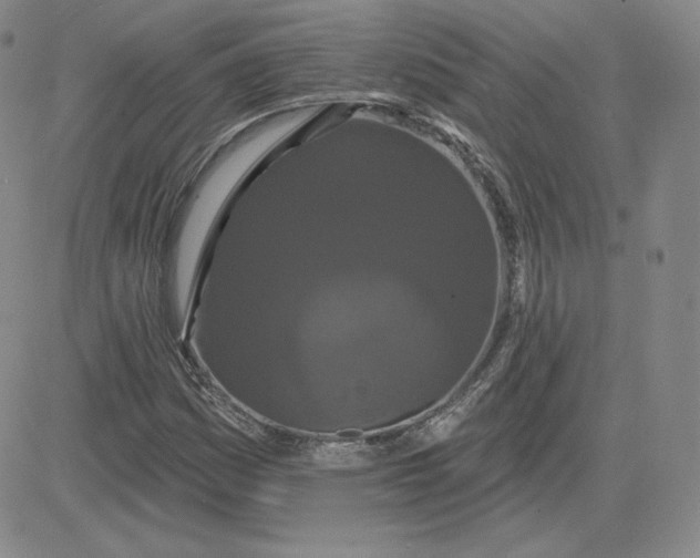 X0000080771161200701021114