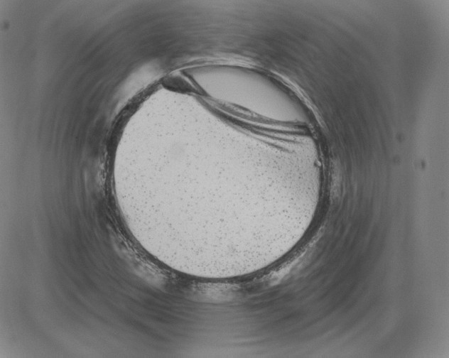 X0000080771163200701021114