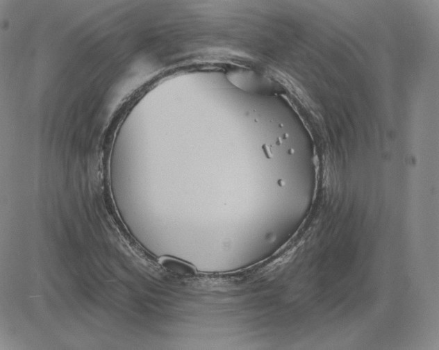 X0000080771164200701021114