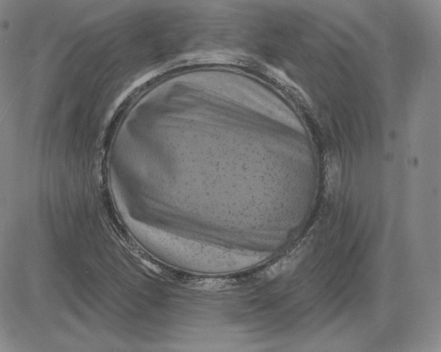 X0000080771166200701021114