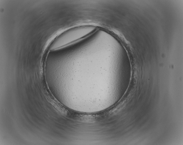 X0000080771167200701021114