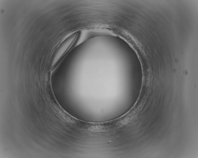 X0000080771169200701021114