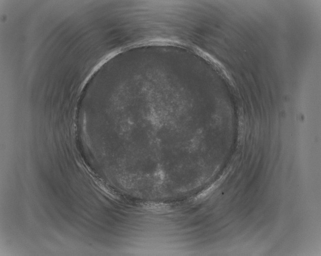 X0000080771170200701021114