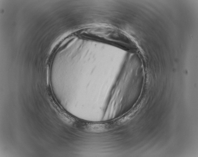 X0000080771171200701021114