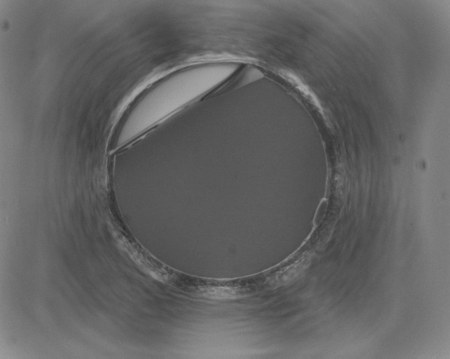 X0000080771173200701021114