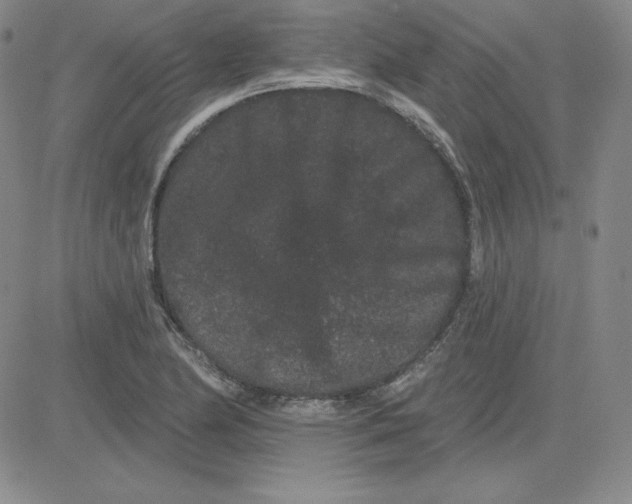 X0000080771174200701021114