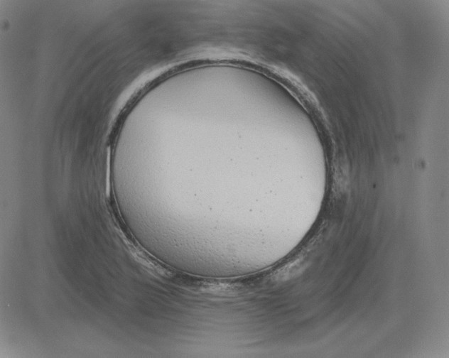 X0000080771175200701021114