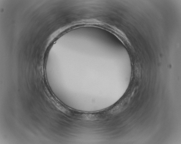 X0000080771176200701021114