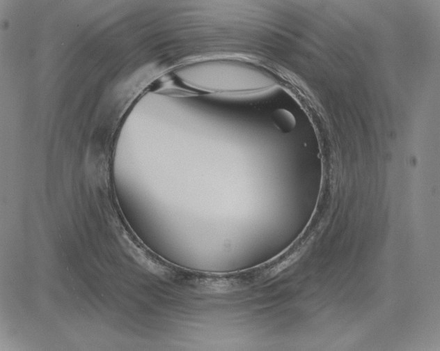 X0000080771177200701021114