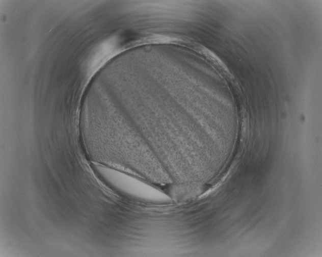 X0000080771178200701021114