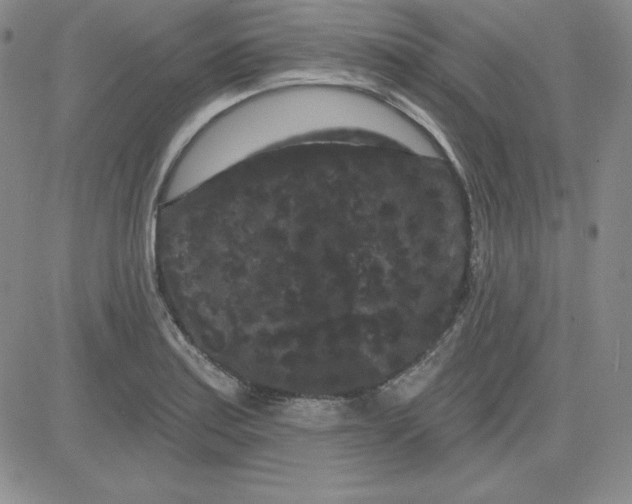 X0000080771179200701021114