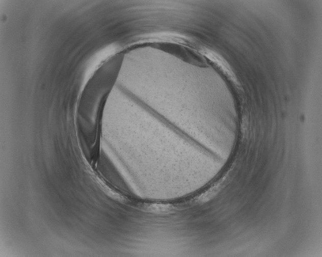 X0000080771180200701021114