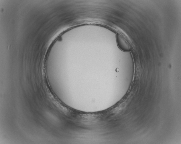 X0000080771182200701021114