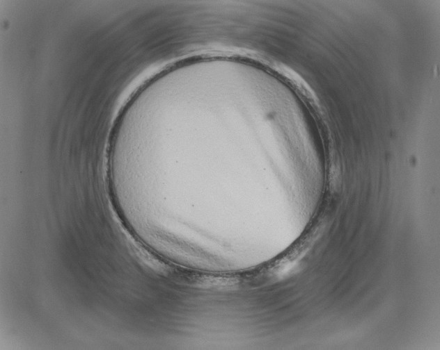 X0000080771183200701021113