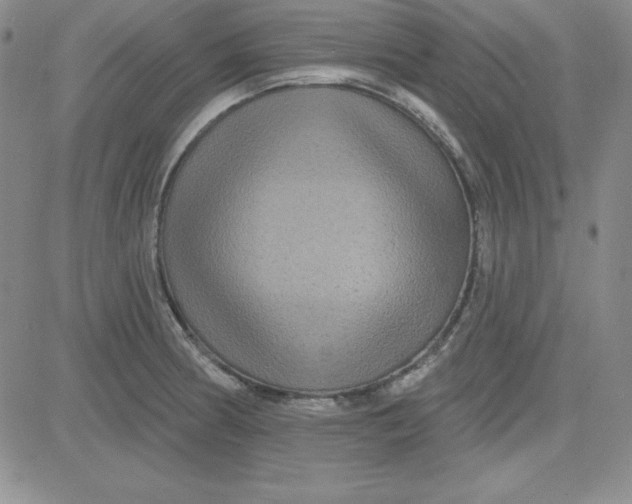 X0000080771186200701021113