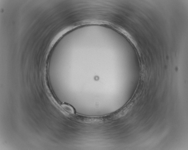 X0000080771187200701021113