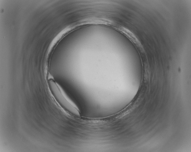 X0000080771188200701021113