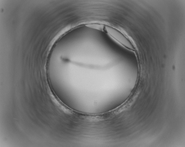 X0000080771189200701021113