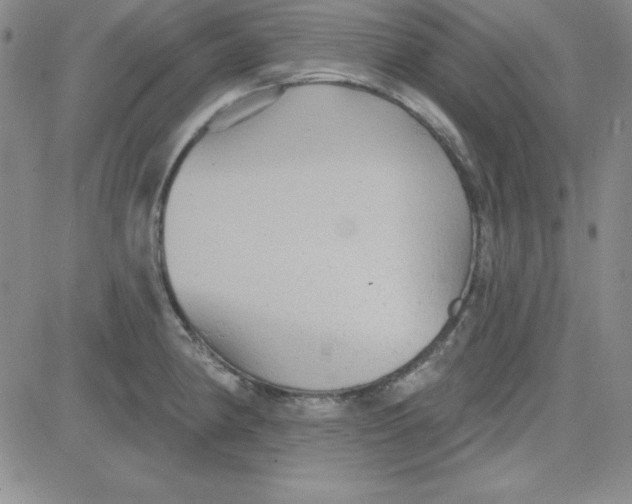 X0000080771190200701021113