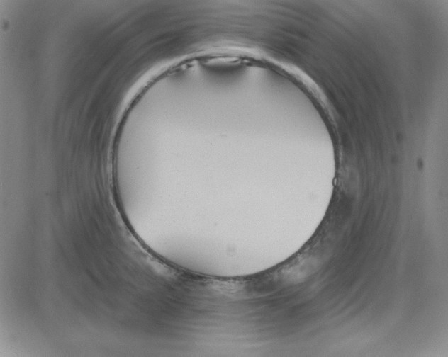 X0000080771191200701021113