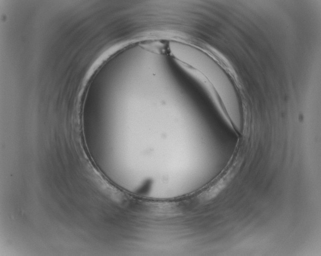 X0000080771192200701021113