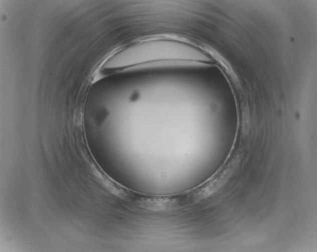 X0000080771193200701021113