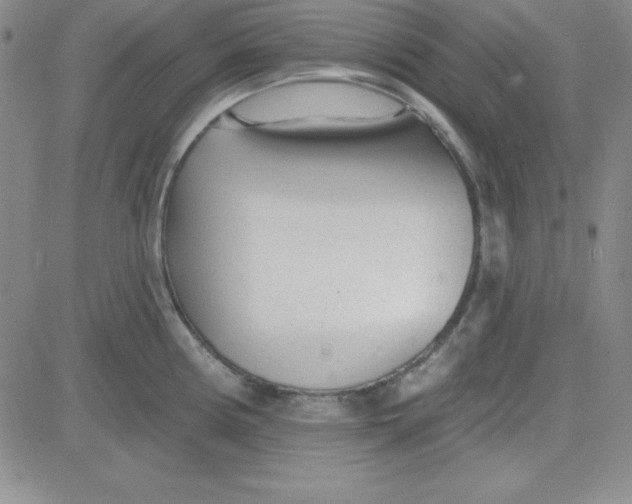 X0000080771194200701021113