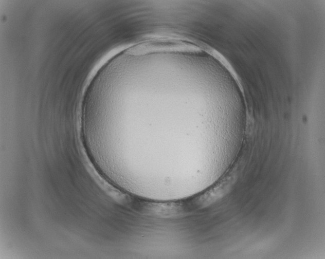 X0000080771195200701021113