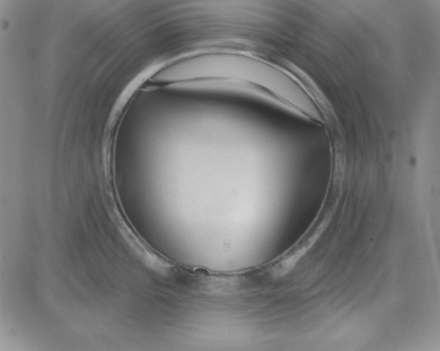 X0000080771196200701021113