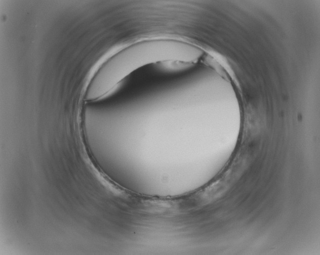 X0000080771197200701021113