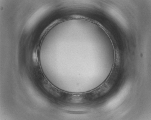 X0000080771198200701021113